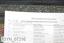 13yn_07216 proof