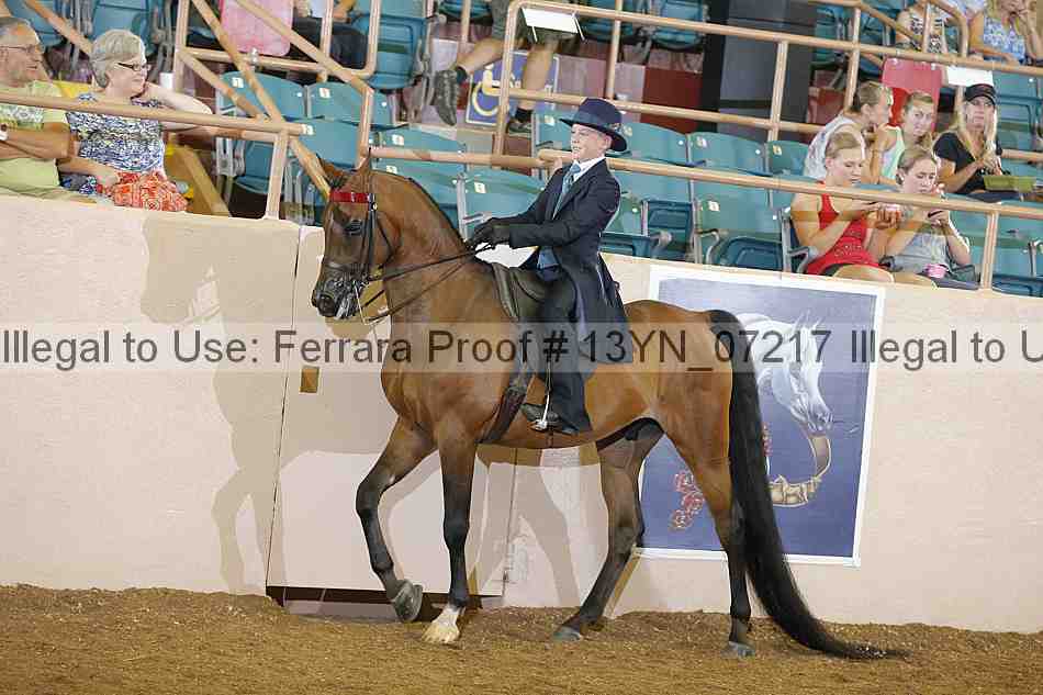 Proof 13yn_07217