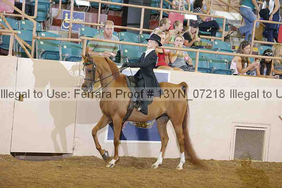 Proof 13yn_07218
