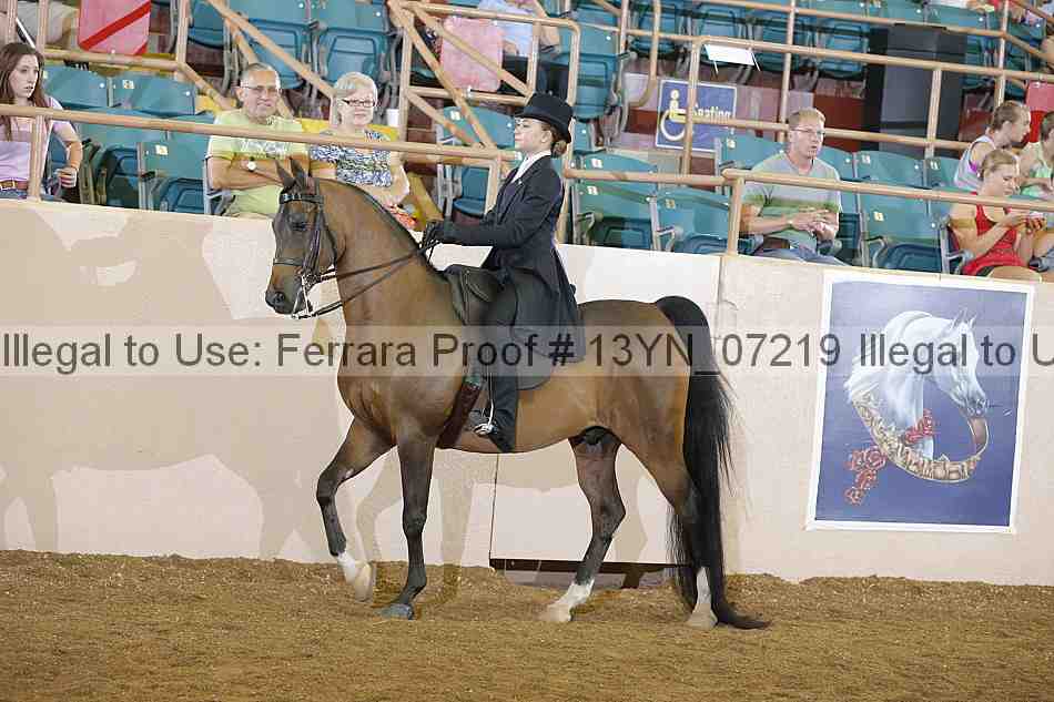 Proof 13yn_07219