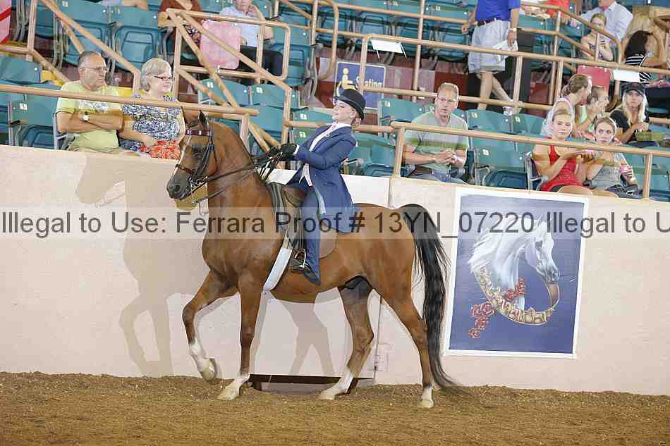 Proof 13yn_07220