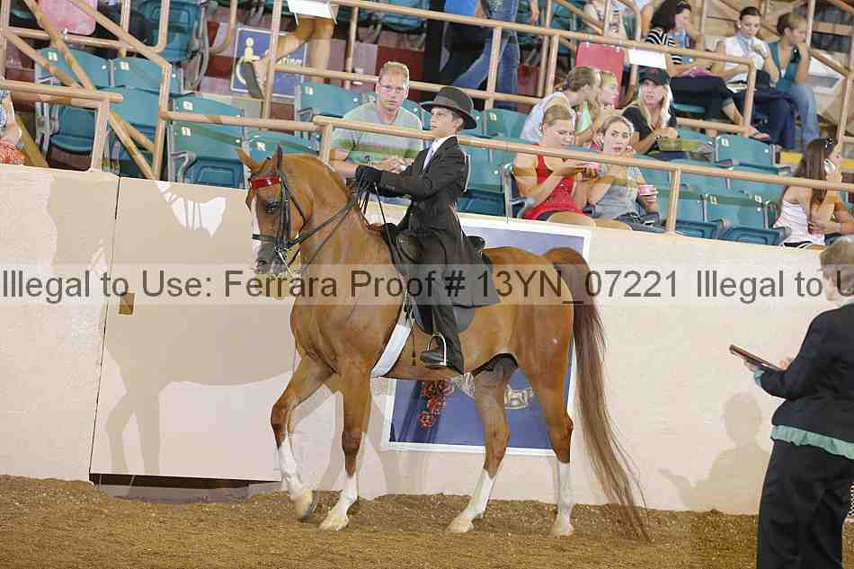 Proof 13yn_07221