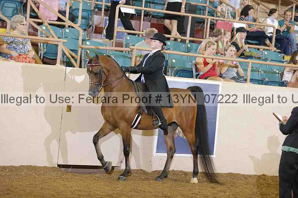 Proof 13yn_07222