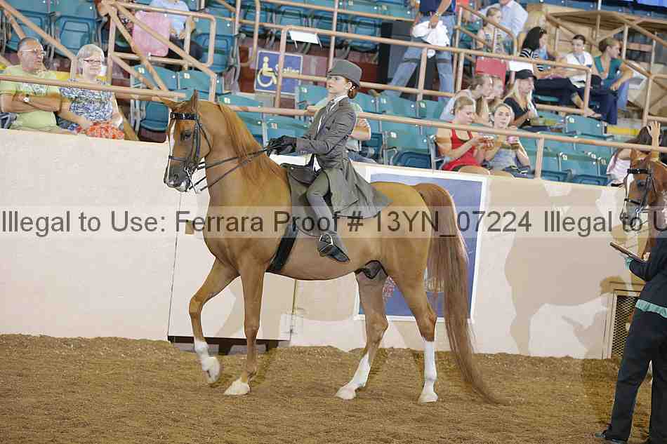 Proof 13yn_07224