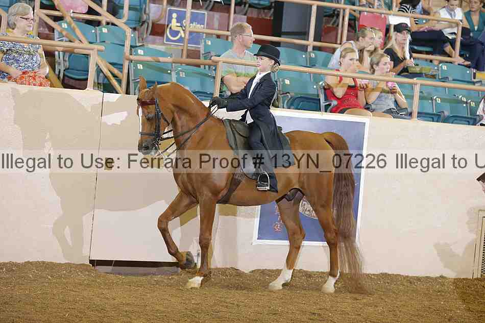 Proof 13yn_07226