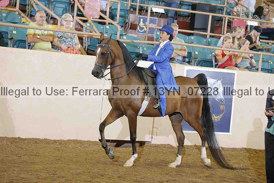 Proof 13yn_07228