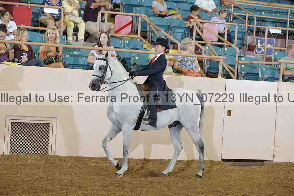Proof 13yn_07229