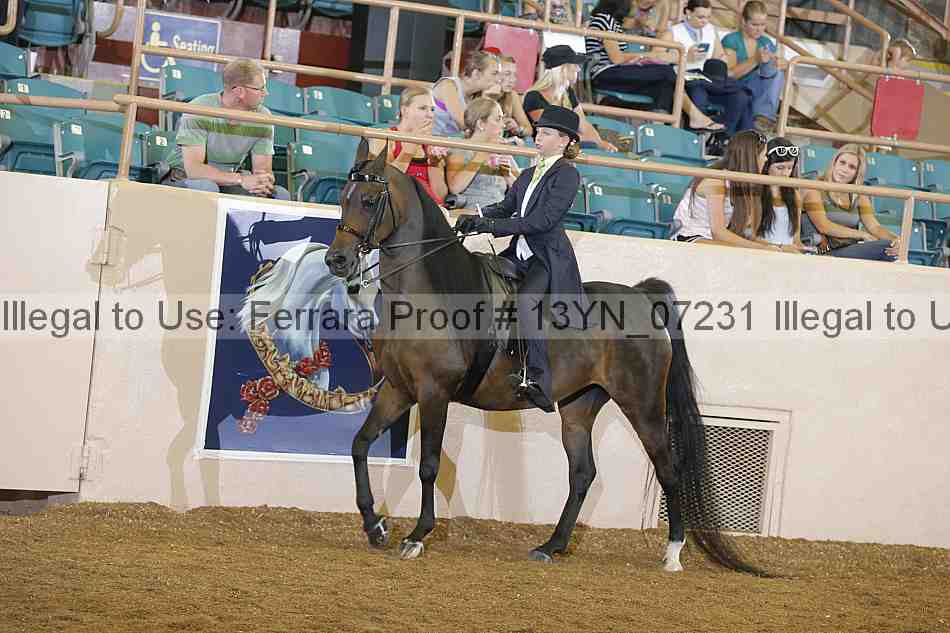 Proof 13yn_07231