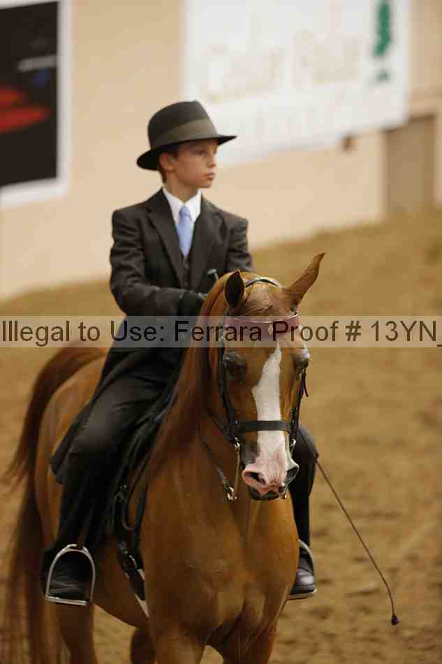 Proof 13yn_07232