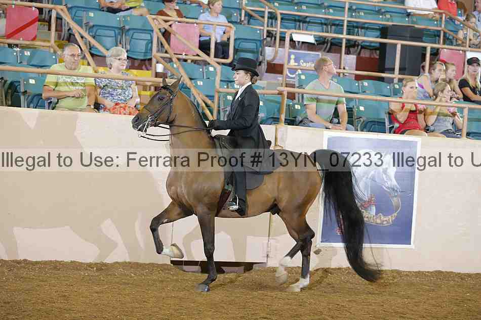 Proof 13yn_07233