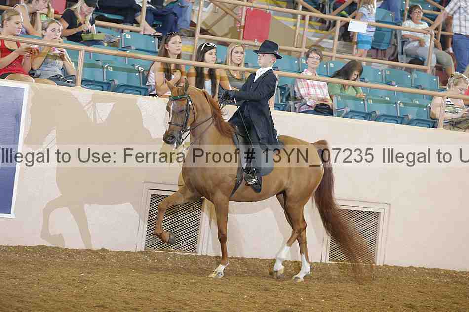 Proof 13yn_07235