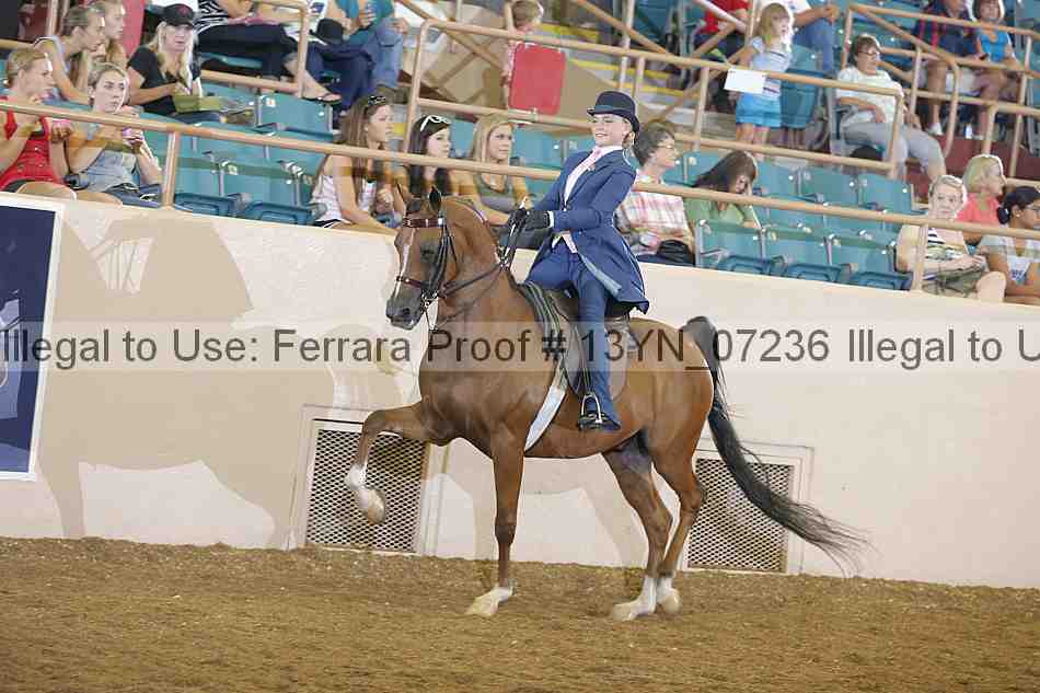 Proof 13yn_07236