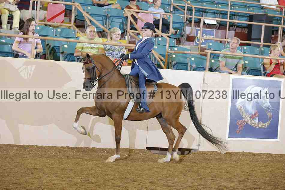 Proof 13yn_07238