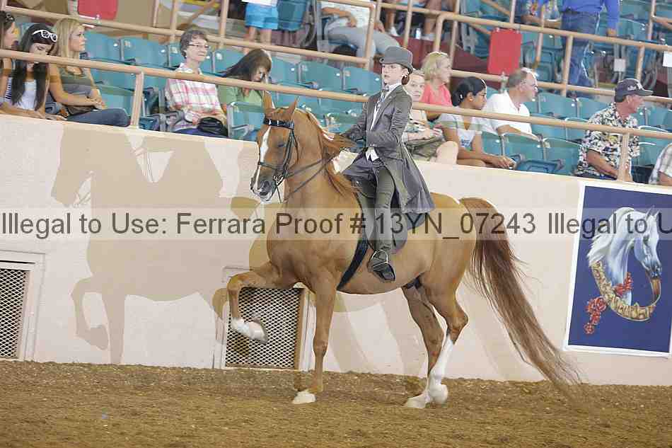 Proof 13yn_07243