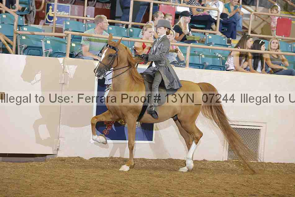 Proof 13yn_07244