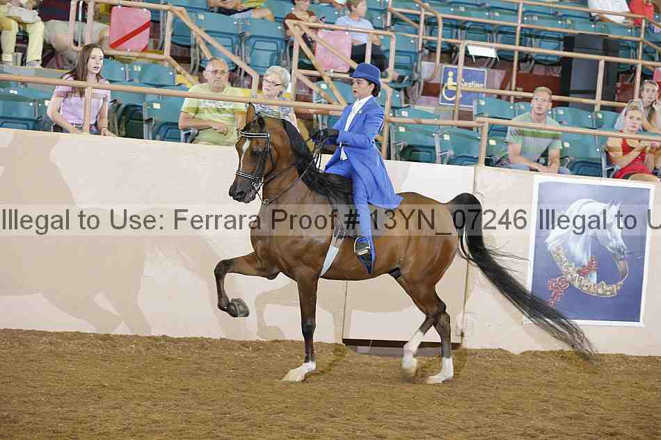 Proof 13yn_07246