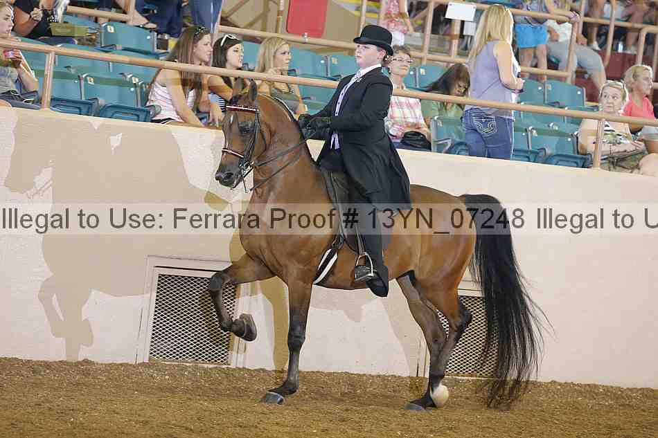 Proof 13yn_07248