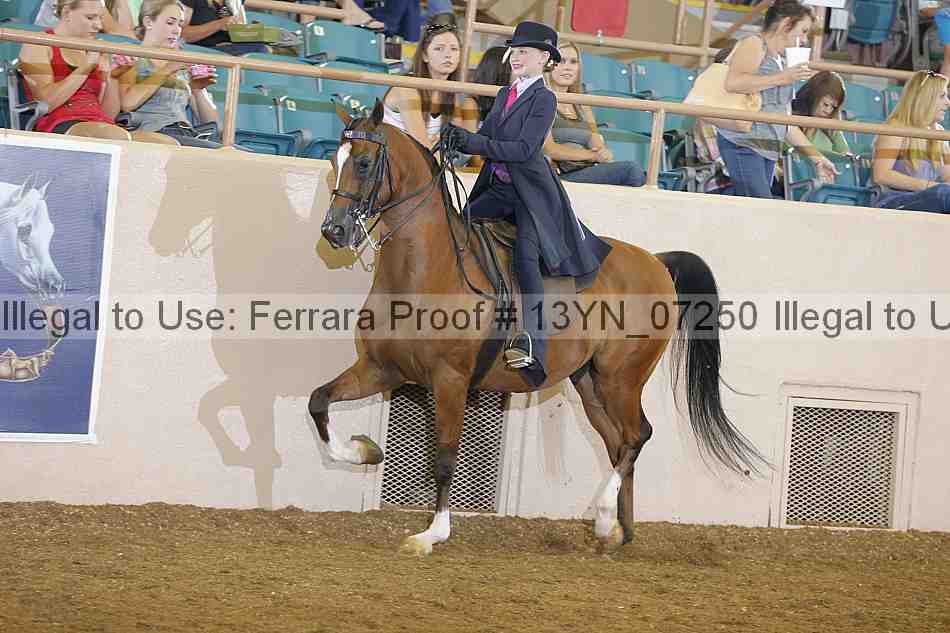 Proof 13yn_07250