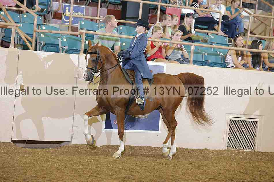 Proof 13yn_07252