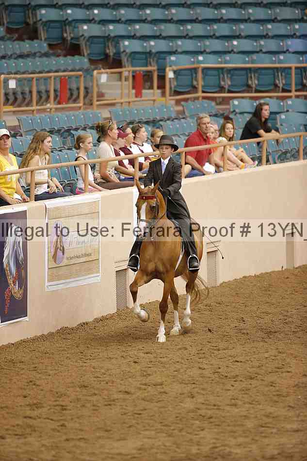 Proof 13yn_07253