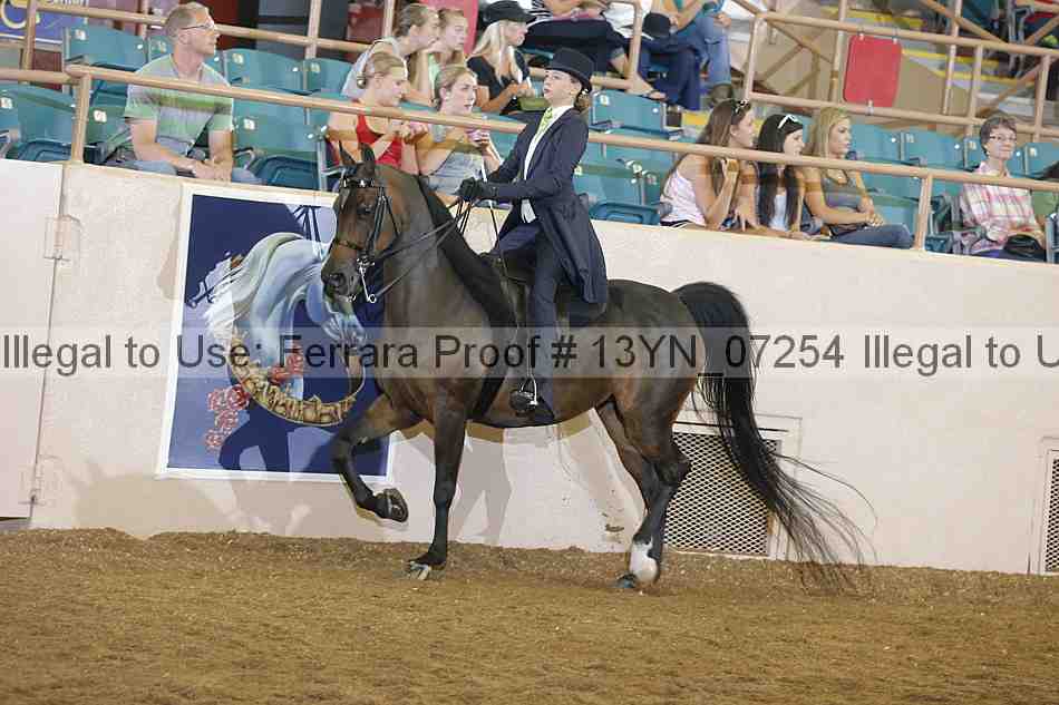 Proof 13yn_07254