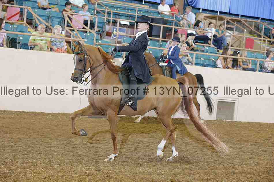 Proof 13yn_07255