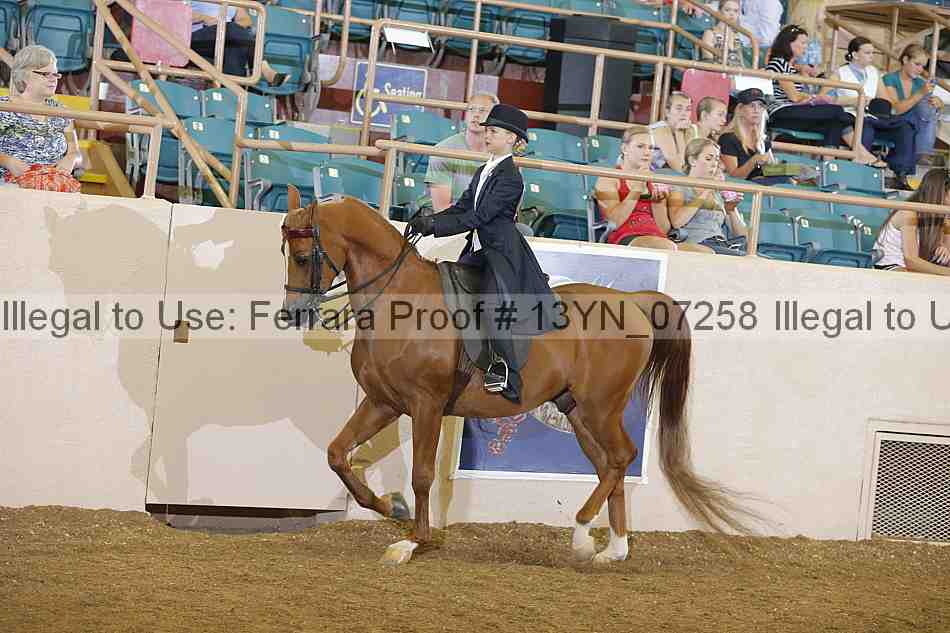 Proof 13yn_07258