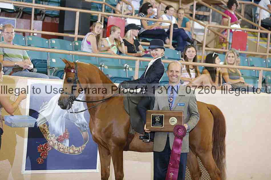 Proof 13yn_07260