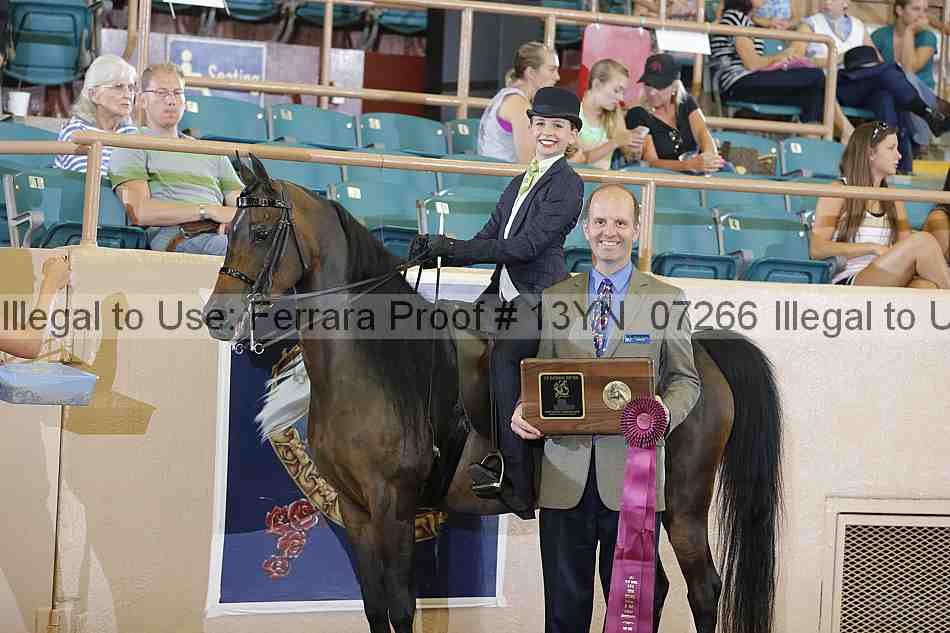 Proof 13yn_07266