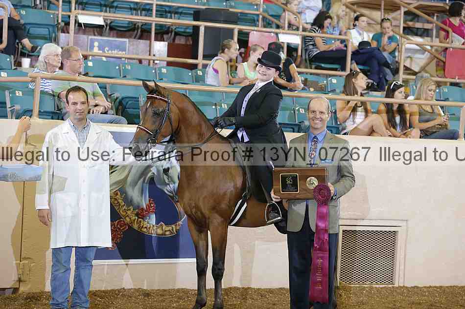 Proof 13yn_07267