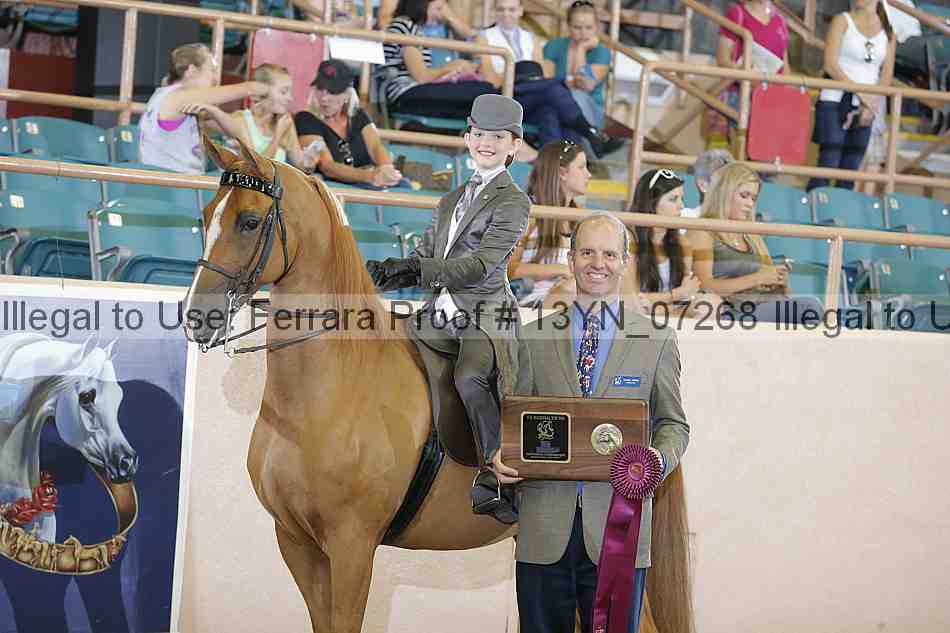 Proof 13yn_07268