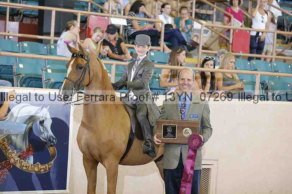 Proof 13yn_07269