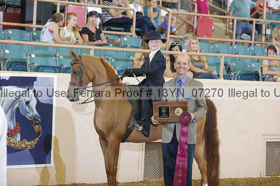 Proof 13yn_07270