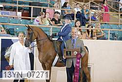 13yn_07271 proof