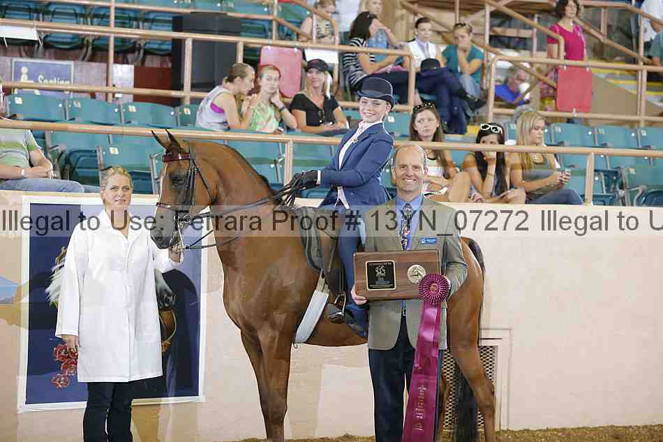 Proof 13yn_07272