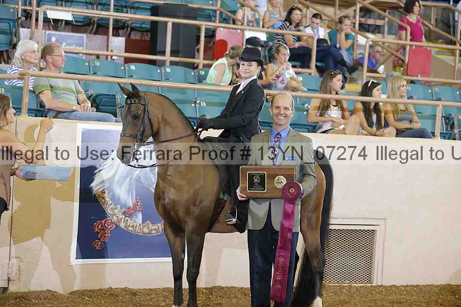 Proof 13yn_07274