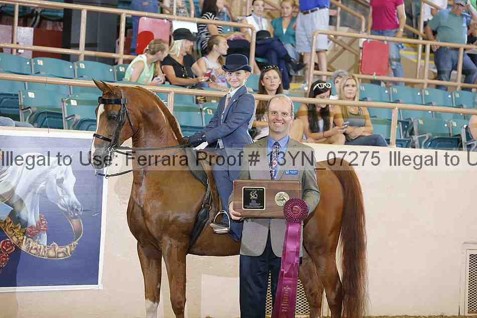 Proof 13yn_07275