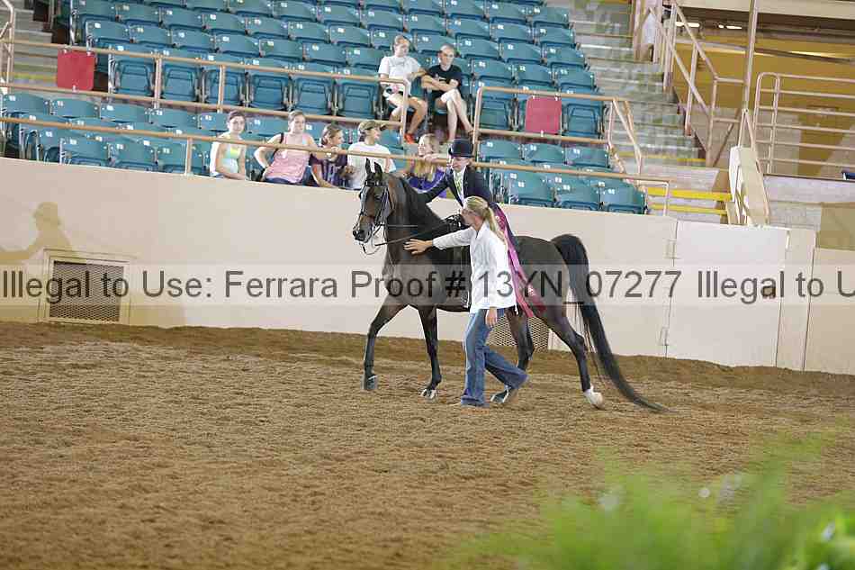 Proof 13yn_07277