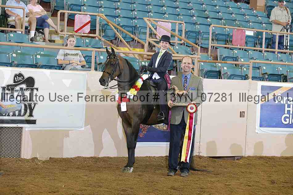 Proof 13yn_07281