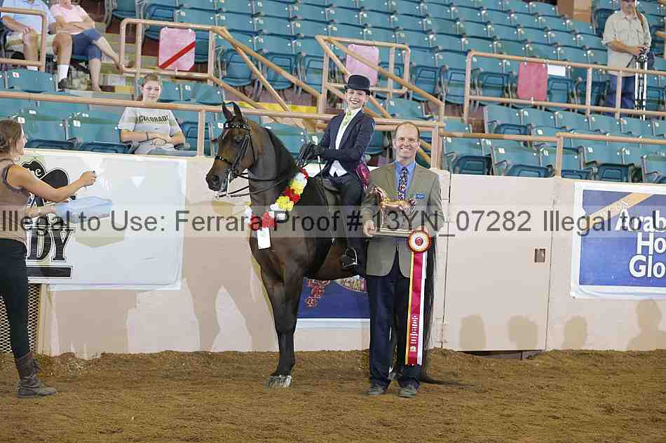 Proof 13yn_07282