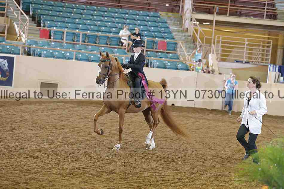 Proof 13yn_07300