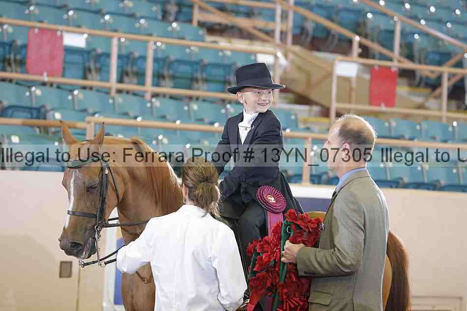 Proof 13yn_07305