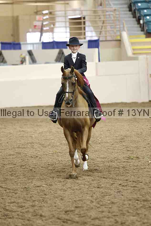 Proof 13yn_07306