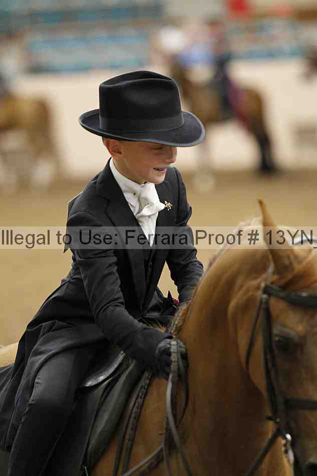 Proof 13yn_07307