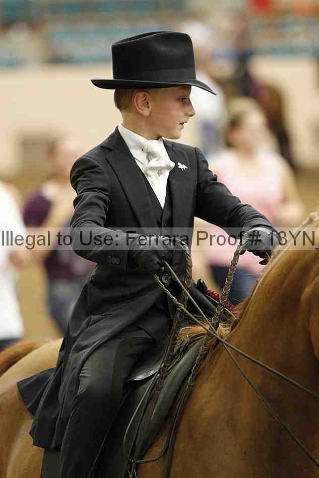 Proof 13yn_07308