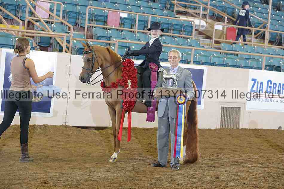 Proof 13yn_07314