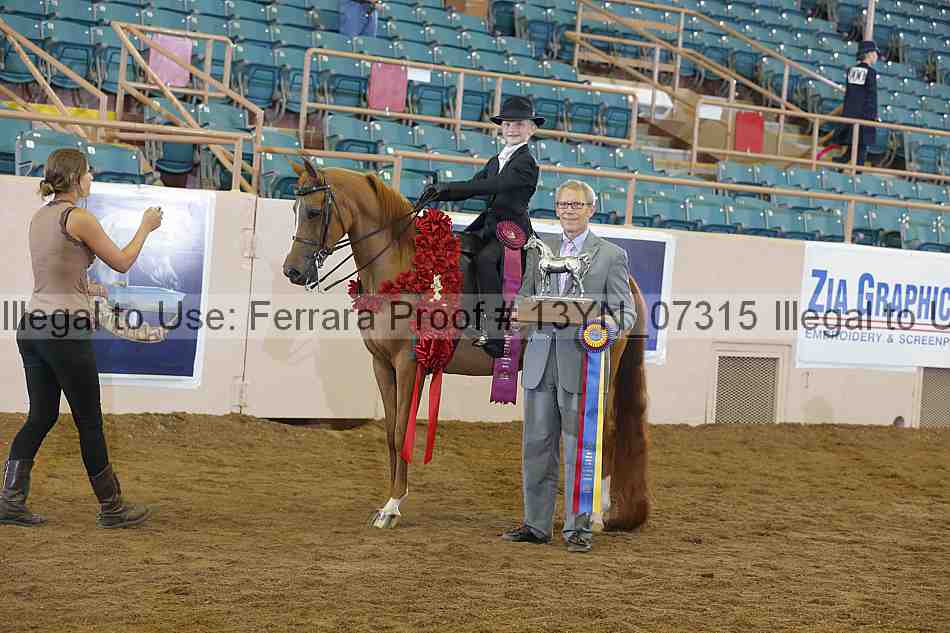 Proof 13yn_07315