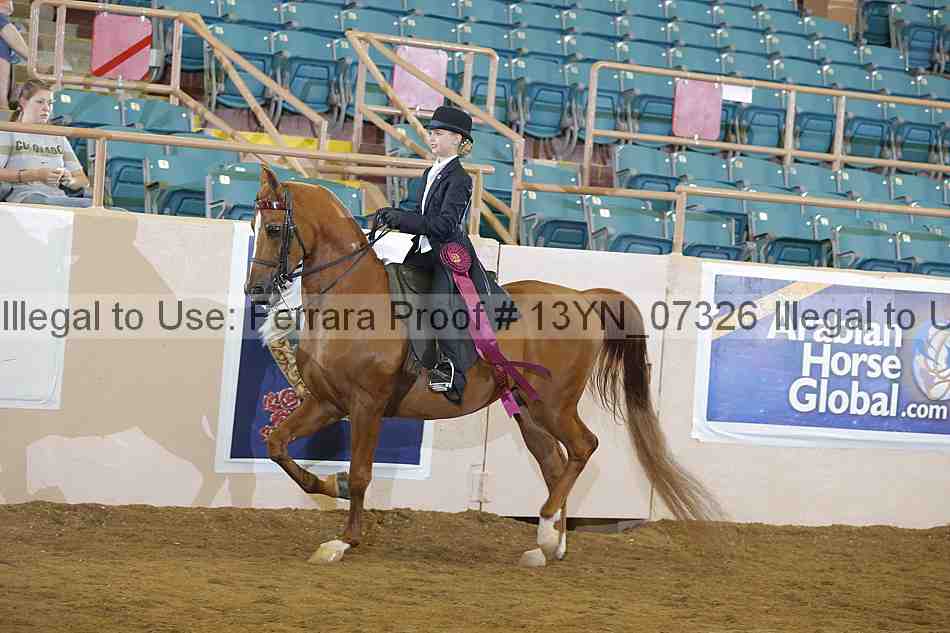 Proof 13yn_07326