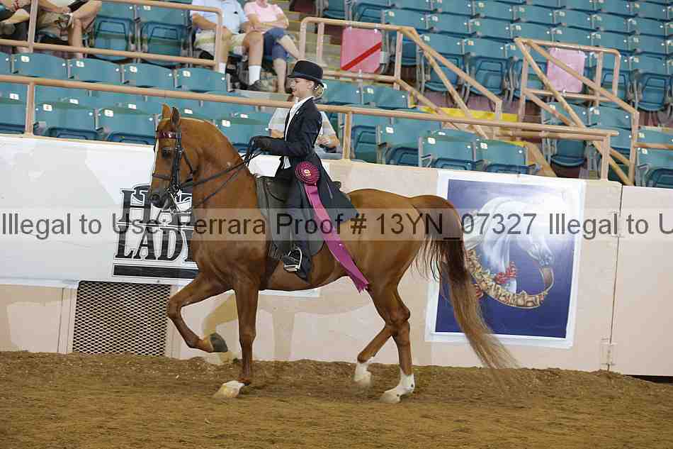 Proof 13yn_07327