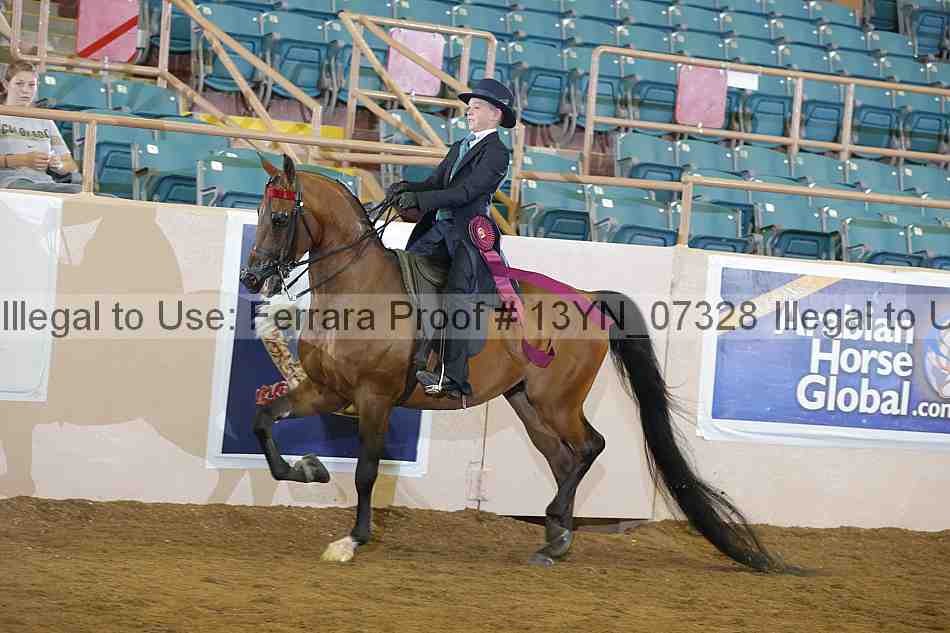 Proof 13yn_07328